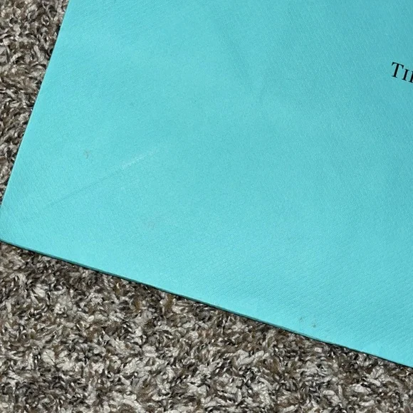 Bundle Tiffany & Co. larger shopping bag - Picture 5 of 6